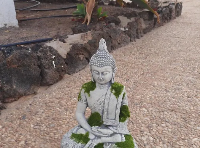 Casita Paraiso 255 Apartment *